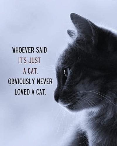 FB_IMG_1741132230459