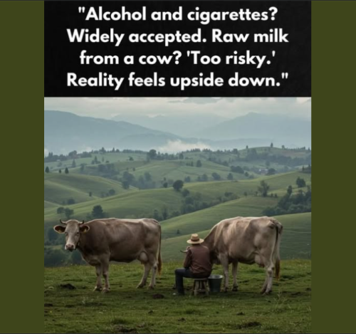 Screenshot 2025-03-22 084817