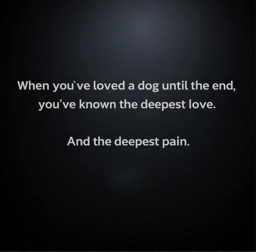 FB_IMG_1739207576348