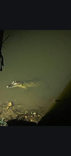 Screenshot_20250330_100920_Drive