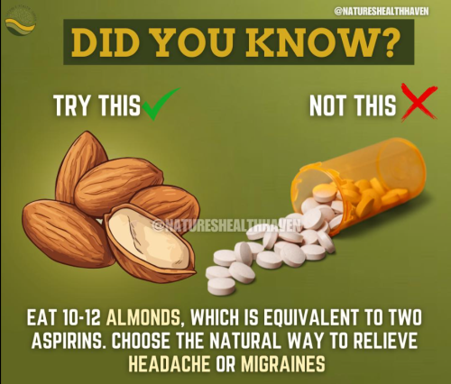 Screenshot 2025-03-30 081036