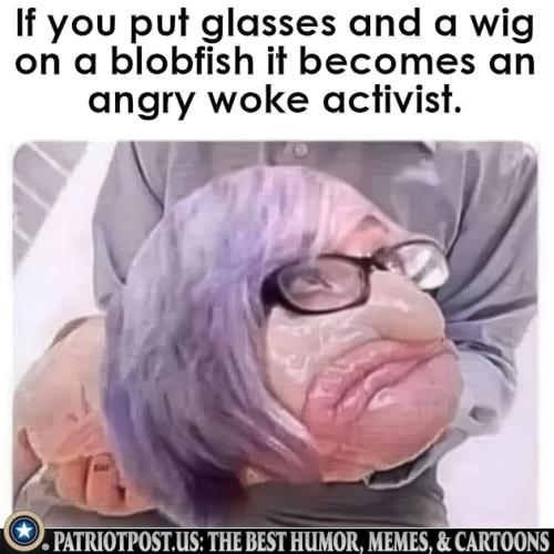 01JPKWRDAKYG01A1XE94NG2PVW