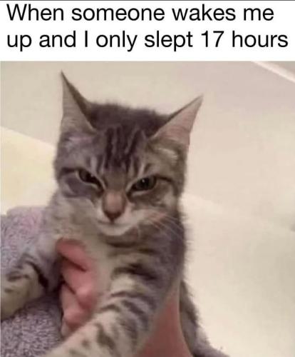 FB_IMG_1740848659054