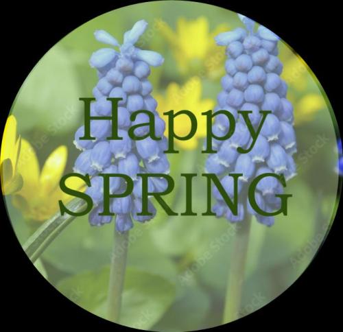 66ece3dc-7df3-45d0-84ee-8740437738cd