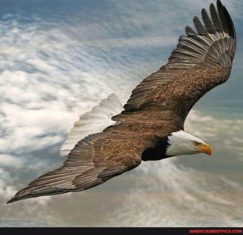 874d6b64e00a56cc37e8e42bd2add75b4ebce18b239cf8a23281a9846219430f_1