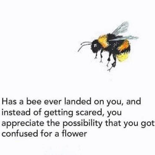 481255639_648777674705095_940626357076188446_n