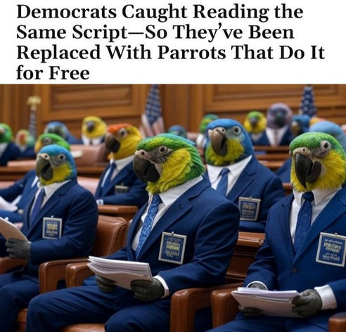 democrats762