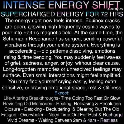 485377273_630432253062997_6895604146887325474_n