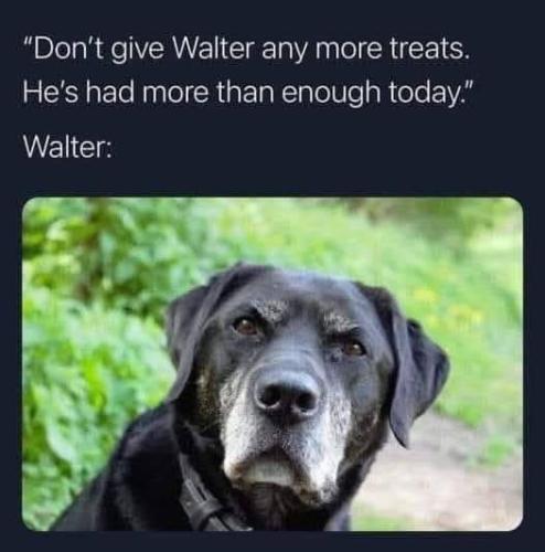 IMG_20250302_181233_845