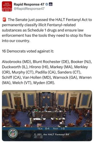 484327106_1161797149072522_9221177853224358401_n