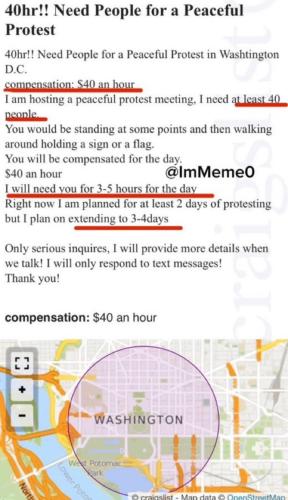 DemonicRATS are paying protestors