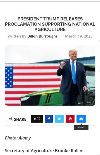 Screenshot_20250319-100744_Brave