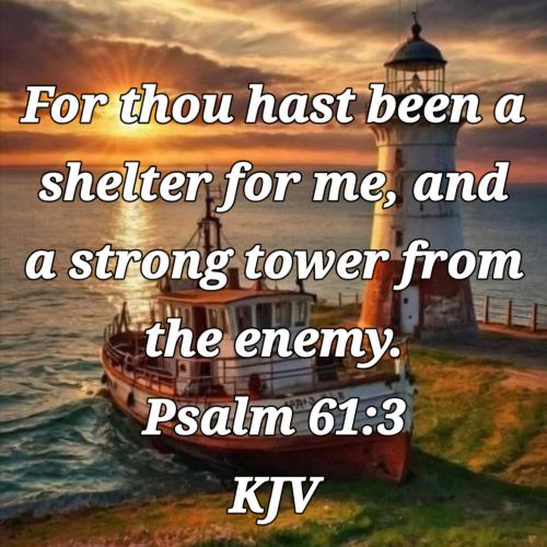 aab77555-5f71-4dd1-9fe4-4ba90381180f