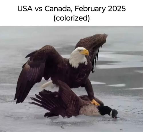 canada