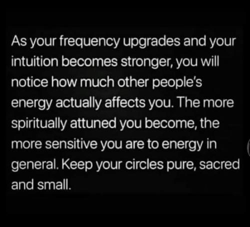 481286003_1194341348955699_5065311053487672275_n