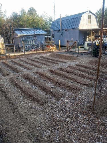 IMG_20250322_181859469_HDR