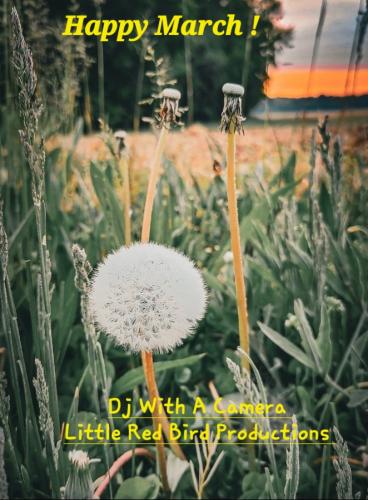 Screenshot_20250301_065215_Gallery