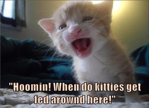 046c9f45dd915f7ffd3540a7f4e9941c