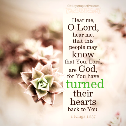 1-kin-18-37-KJV-unsplash