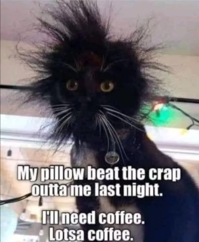 484560850_559455523823736_4992005186270040106_n