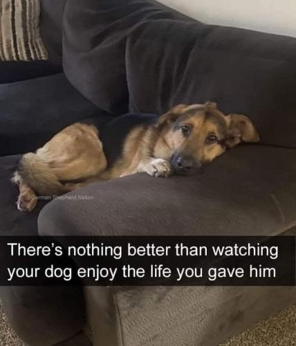 FB_IMG_1742832151835