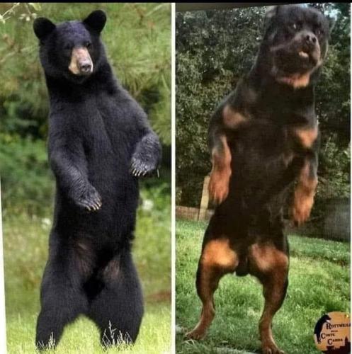 FB_IMG_1742682247490