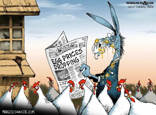 cf7f5514-6e1b-46cc-9de6-1d352088c1ad_1142x844