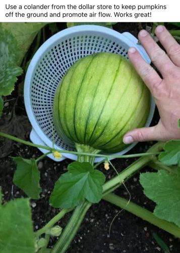 54048560-ABE5-4AA2-9CA9-7234CFC28125