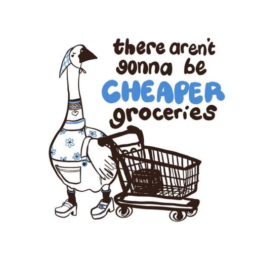 FB_IMG_1741451546763