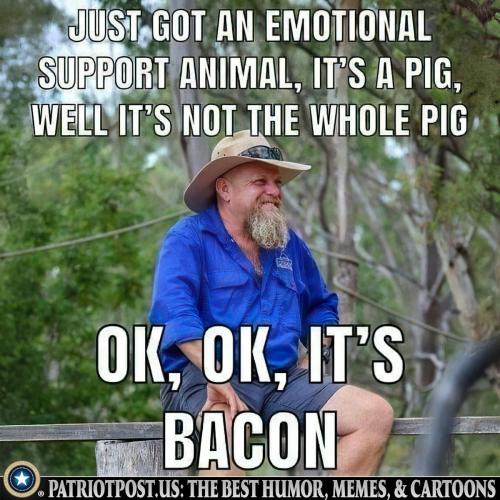 0000000000000000000000000000000000000000000000000000000000000000000000000000000000000000000000000000000000000000000000000000000000000000000000000000000000000000000000000000000000000000000000000000000000000000000000dxa