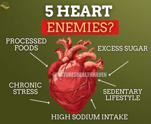 Screenshot 2025-03-19 125712