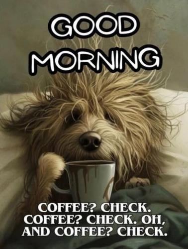 480968629_506279255888621_3266709884625507078_n