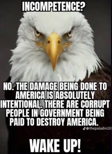 1ec971cf-807e-4925-a9a1-eceeba2381a6