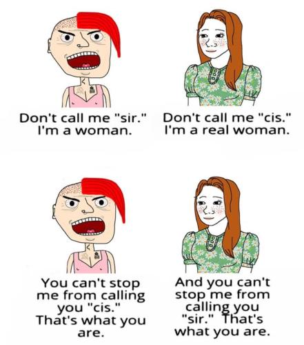 image_73CAE40F-3518-4B8B-8846-CB59A87CCE8E