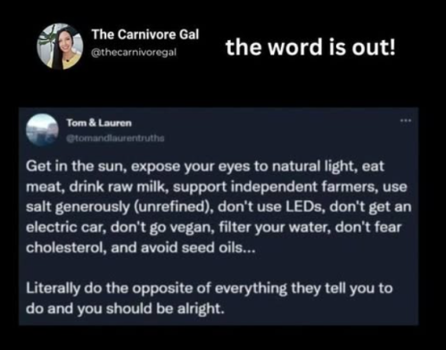 Screenshot 2025-03-11 193936