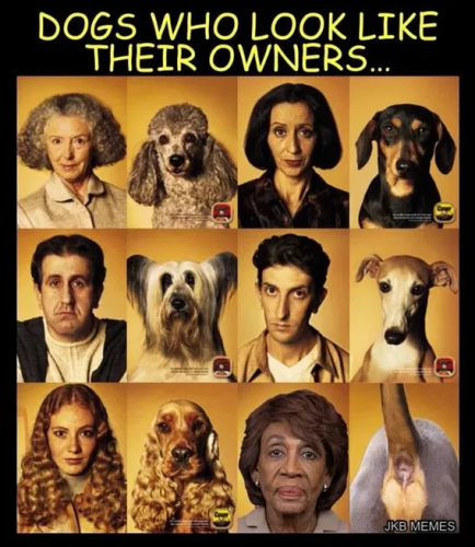 image_2025-03-09_152317033