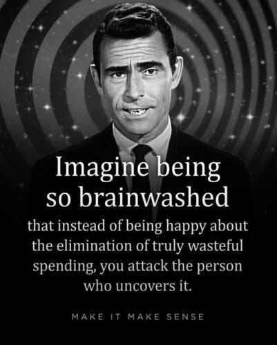 Brainwashed
