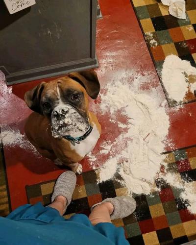 FB_IMG_1743264845067