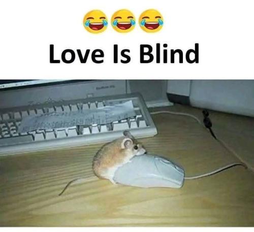 FB_IMG_1741292907024