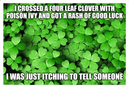 IMG_20250320_114106_812