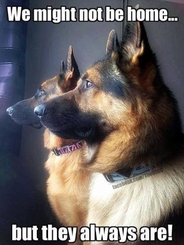 FB_IMG_1741461102013