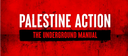 HAMAS SAUL ALINKY APPROACH