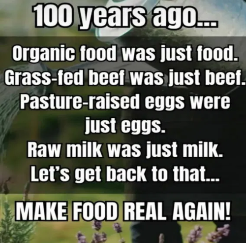 image_2025-03-16_081726150