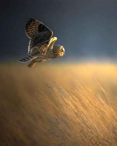 20250305_215200