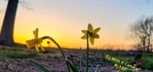 Screenshot_20250311_184803_Gallery