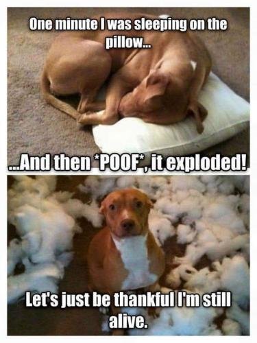 FB_IMG_1741535155749