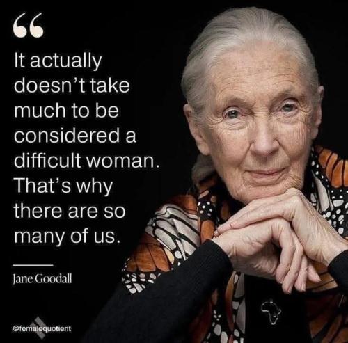 DBE2C731-8FCE-4B3E-AF25-68FC27C11328