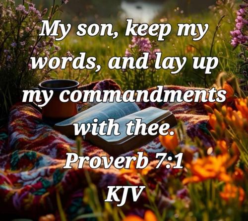 3fd2bb49-72f9-42b6-9b2e-020cdbc1a3f7