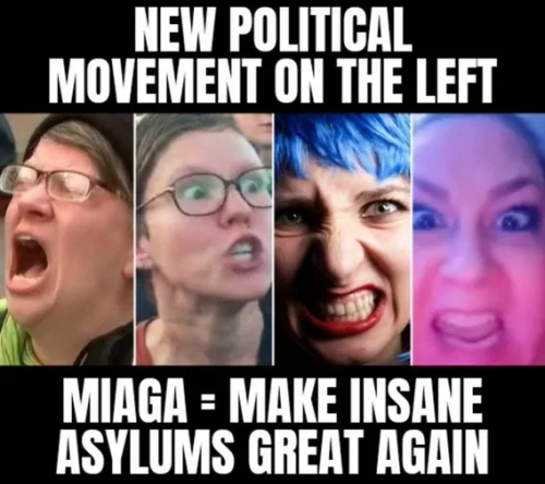 image_2025-03-07_063944419