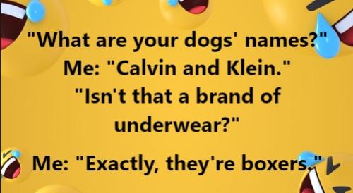 Dog Names
